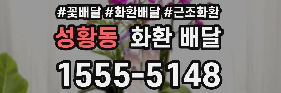 성황동 화환 배달