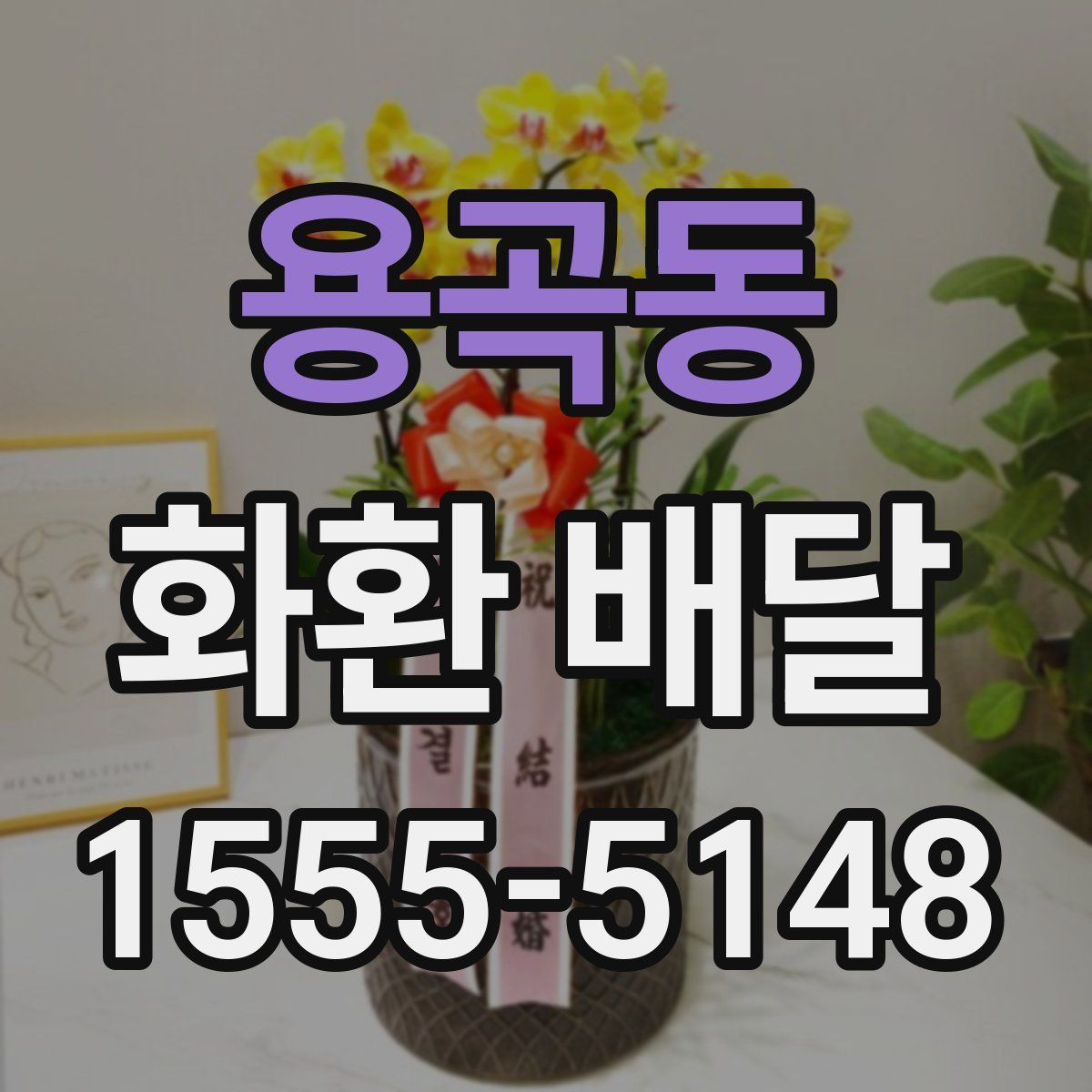 용곡동 화환 배달