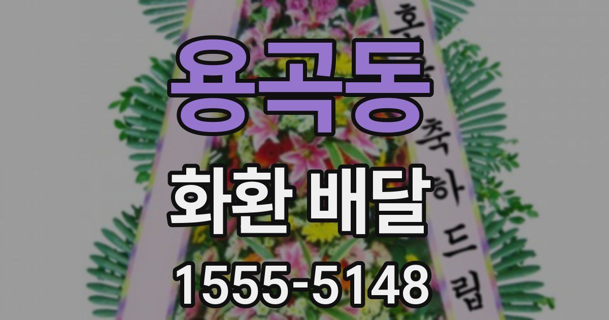 용곡동 화환 배달