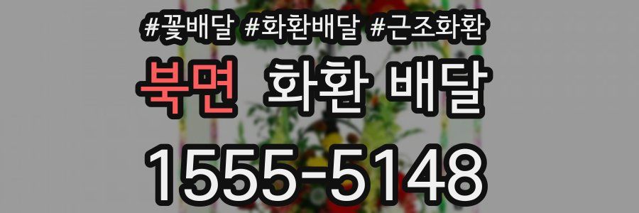 북면 화환 배달