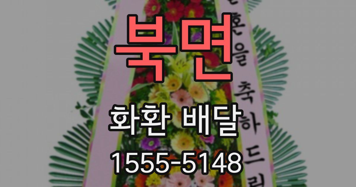 북면 화환 배달