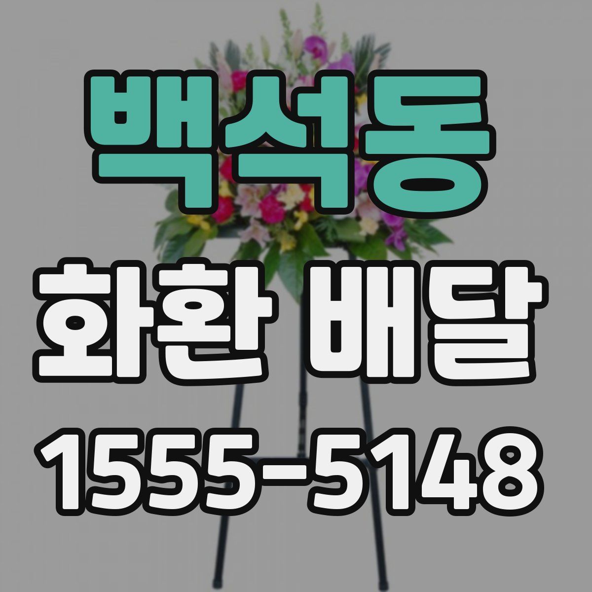 백석동 화환 배달
