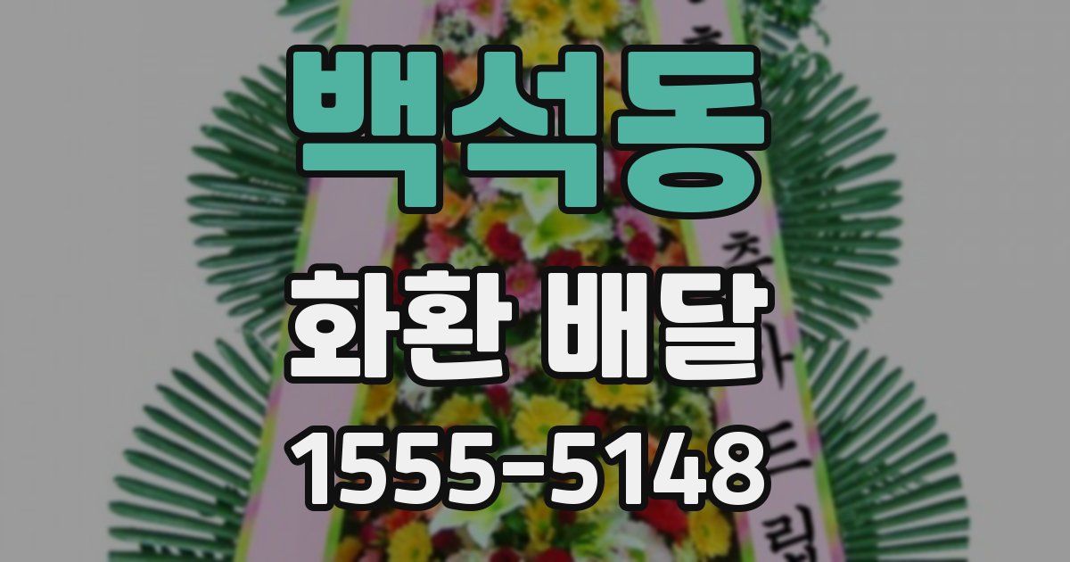 백석동 화환 배달