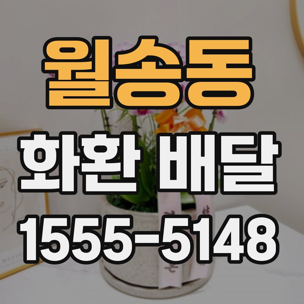 월송동 화환 배달