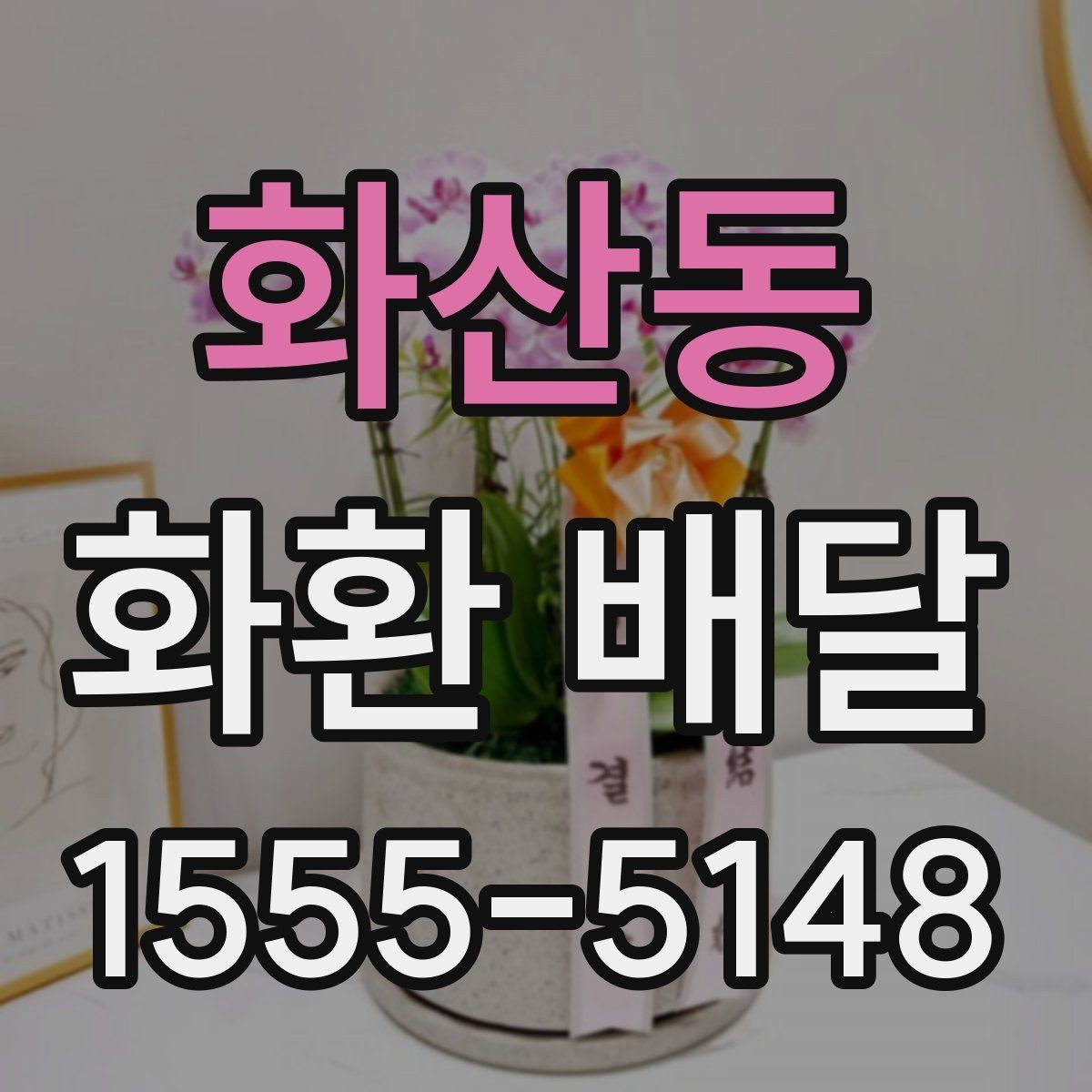 화산동 화환 배달 가격 차이 생기는 기준과 확인할 항목