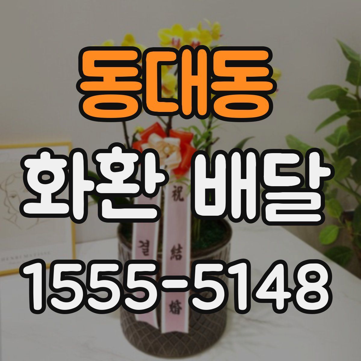 동대동 화환 배달