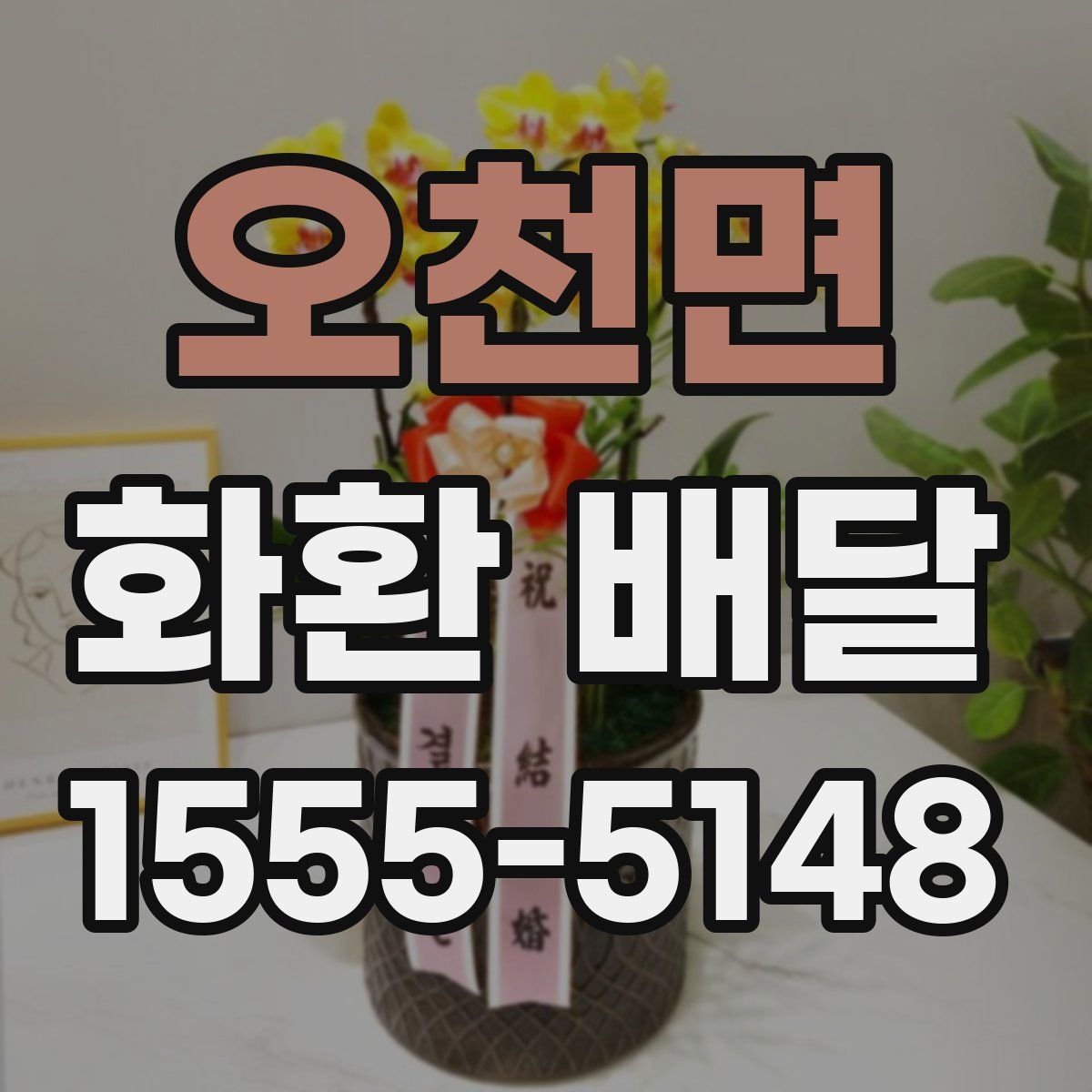 오천면 화환 배달