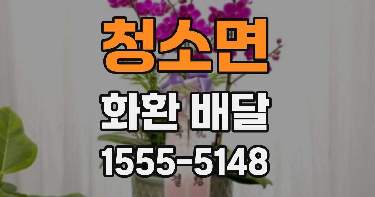 청소면 화환 배달