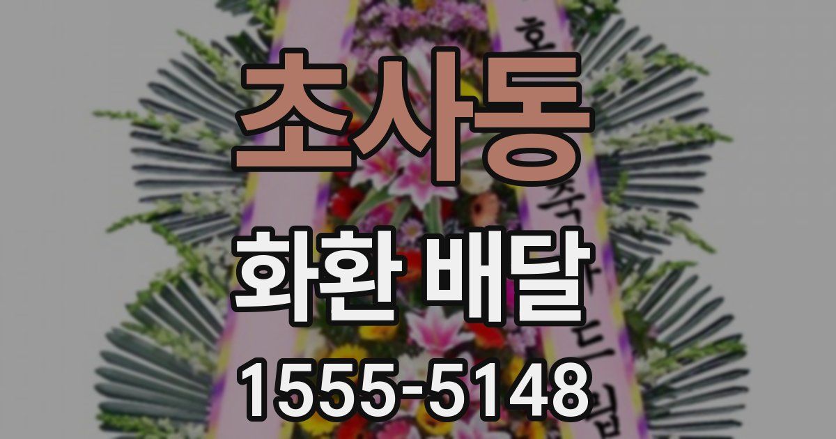 초사동 화환 배달