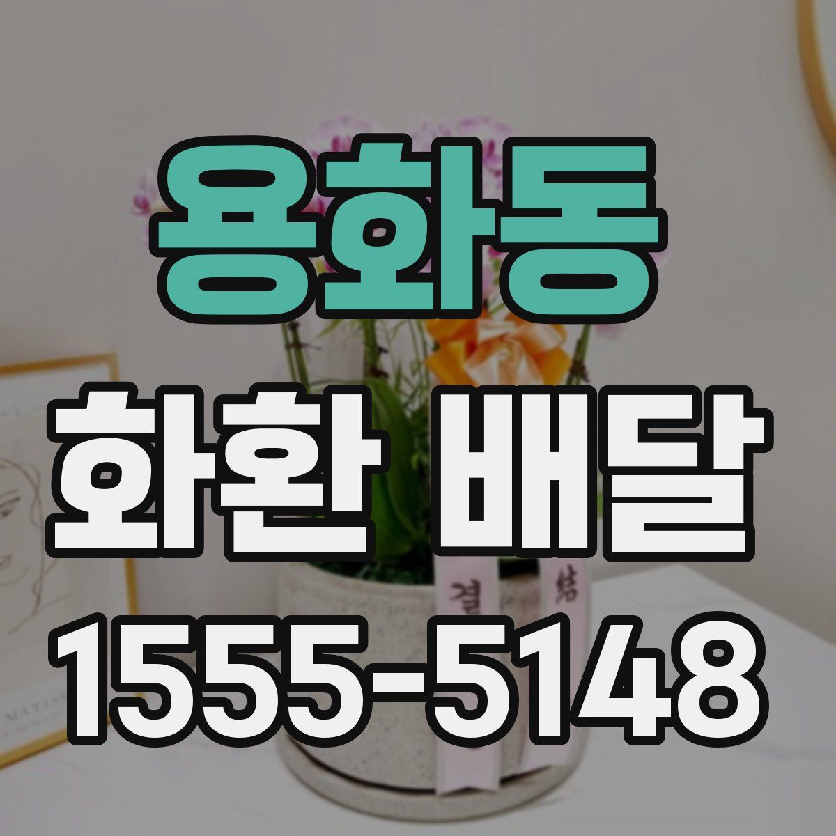 용화동 화환 배달
