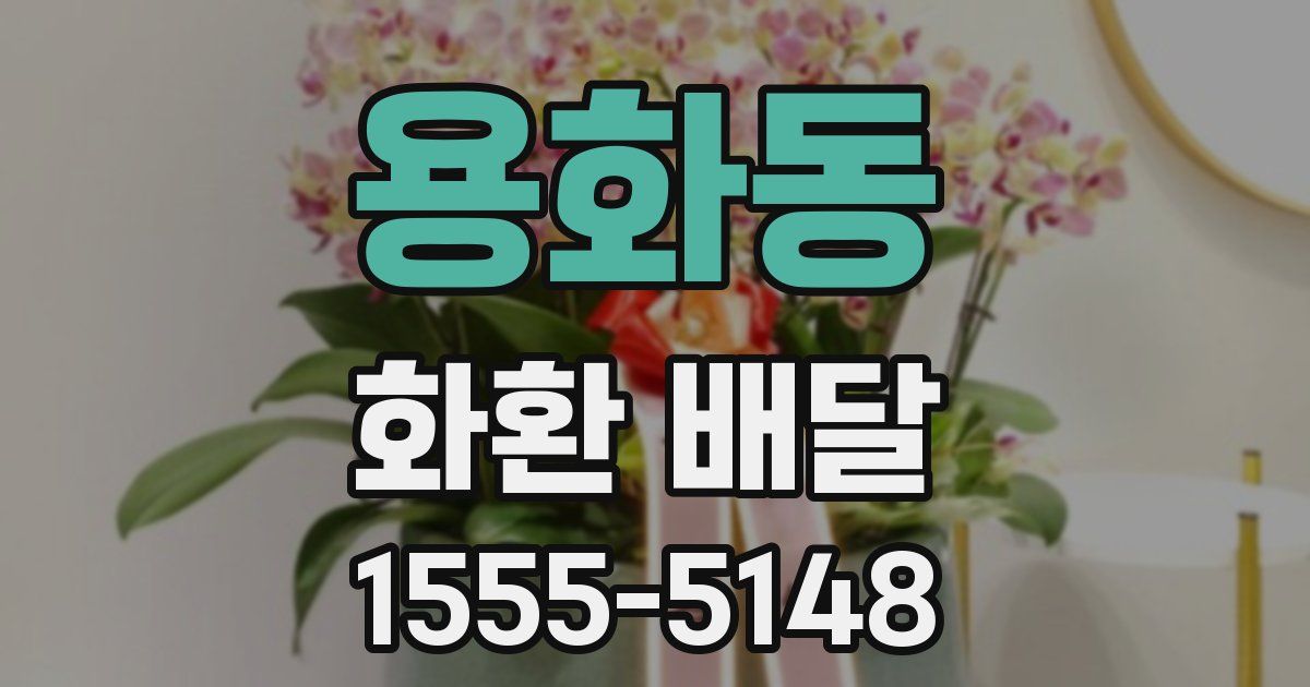 용화동 화환 배달