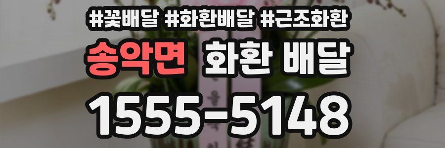 송악면 화환 배달