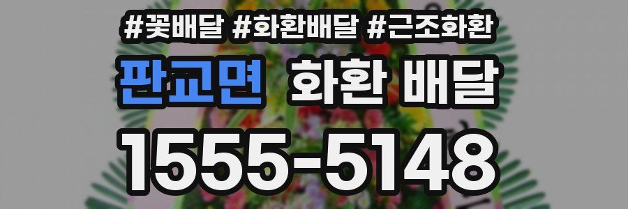 판교면 화환 배달