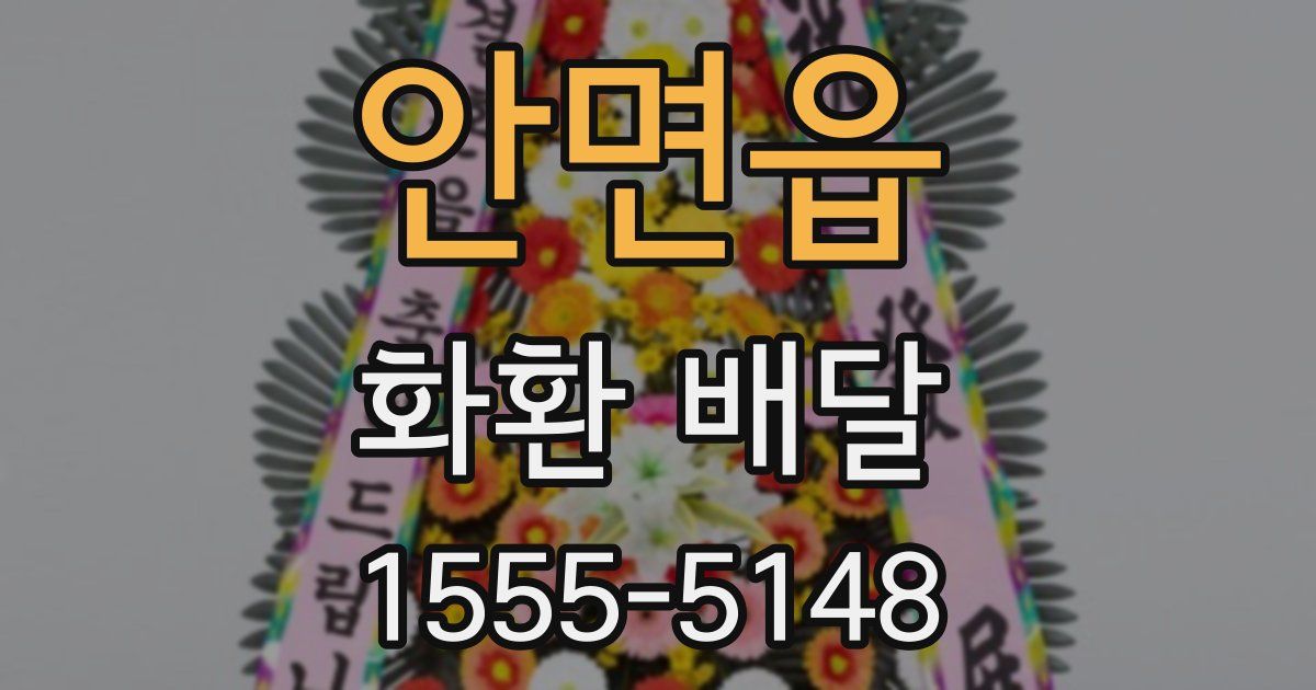 안면읍 화환 배달