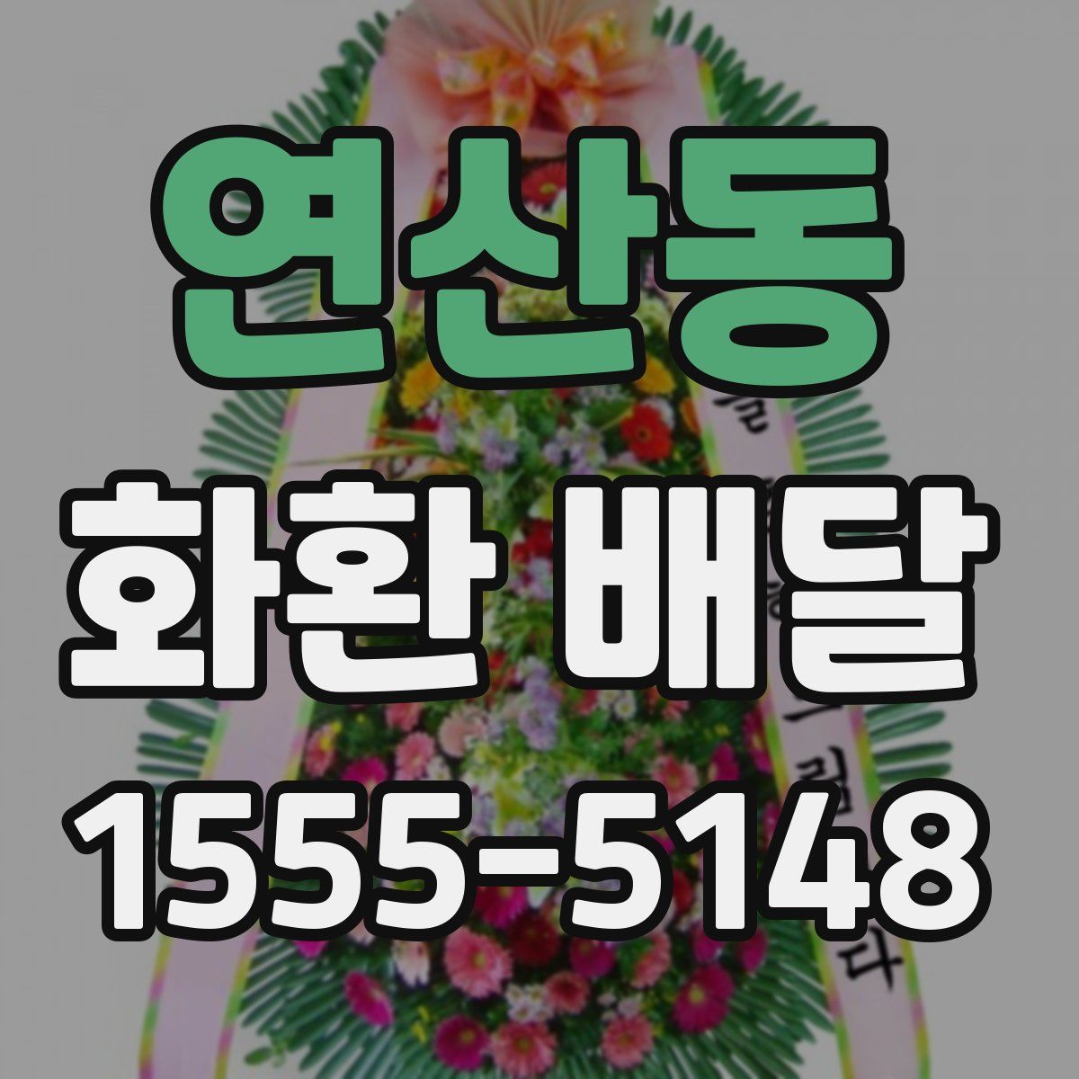 연산동 화환 배달