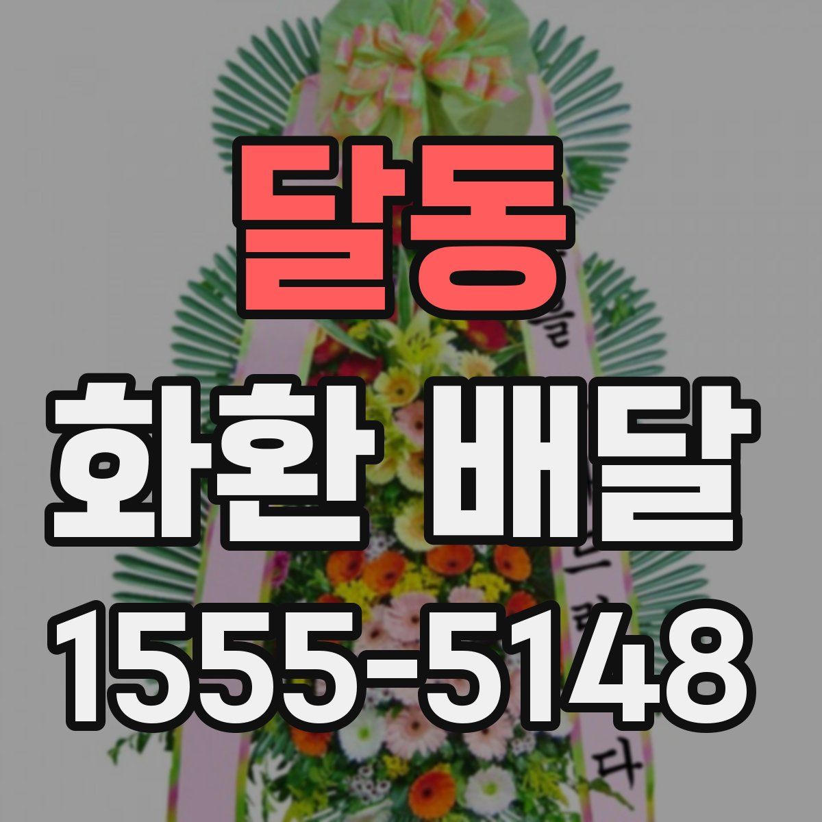 달동 화환 배달