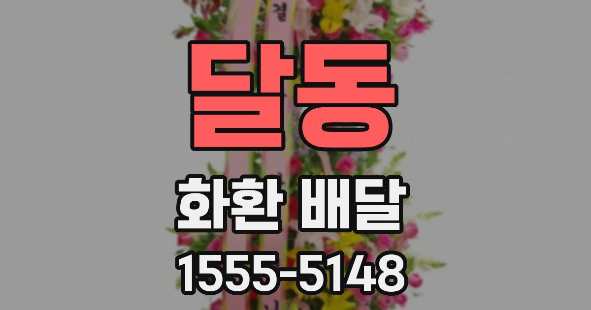 달동 화환 배달