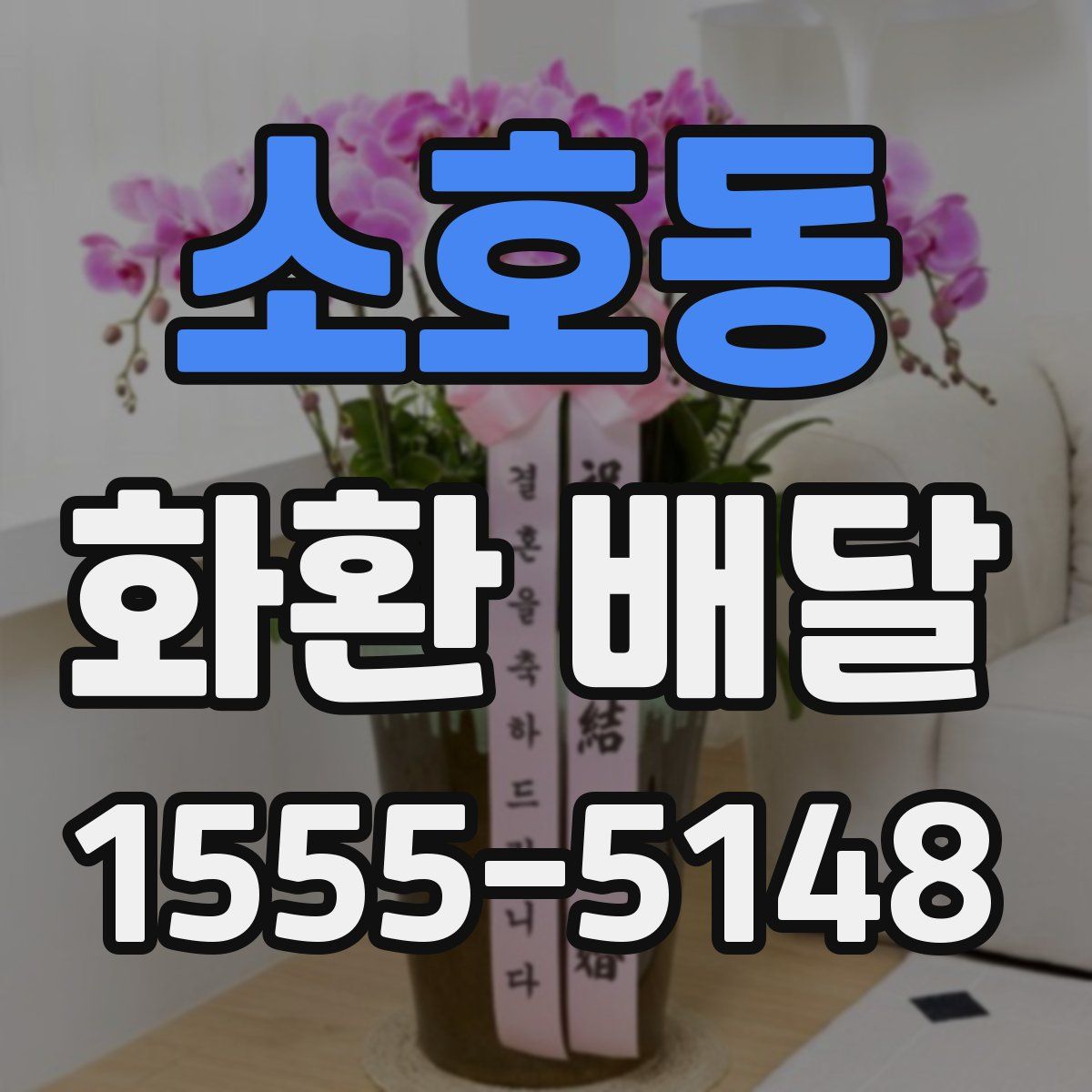 소호동 화환 배달