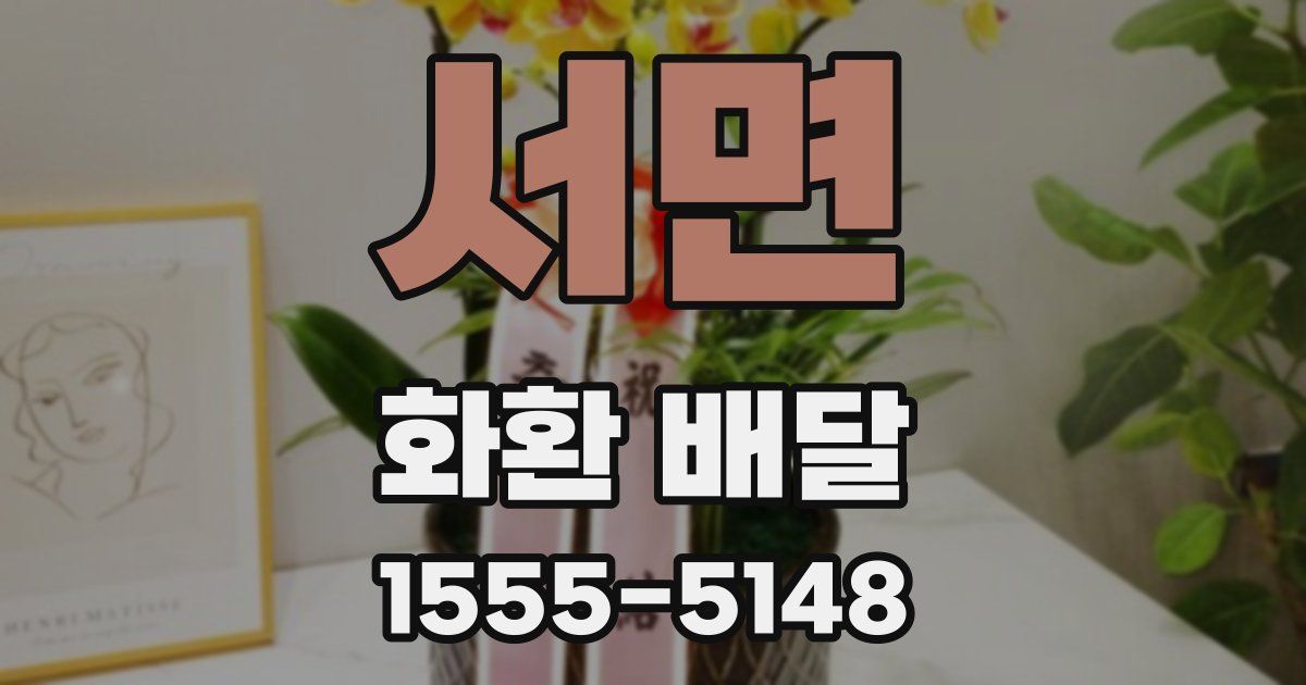 서면 화환 배달