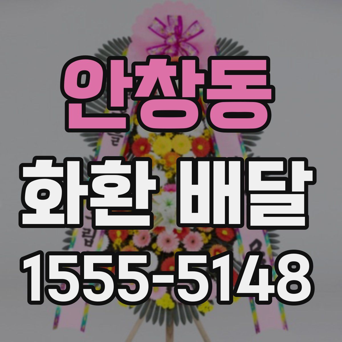 안창동 화환 배달