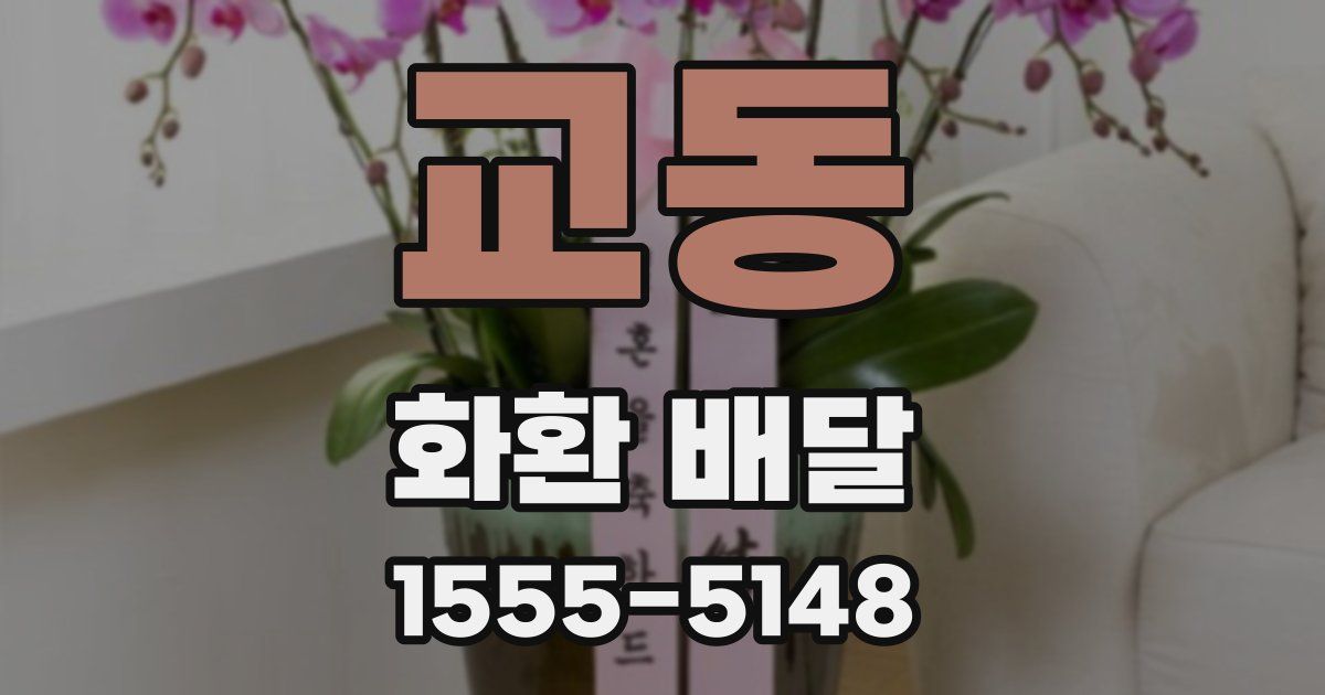 교동 화환 배달