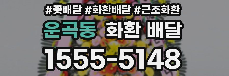 운곡동 화환 배달