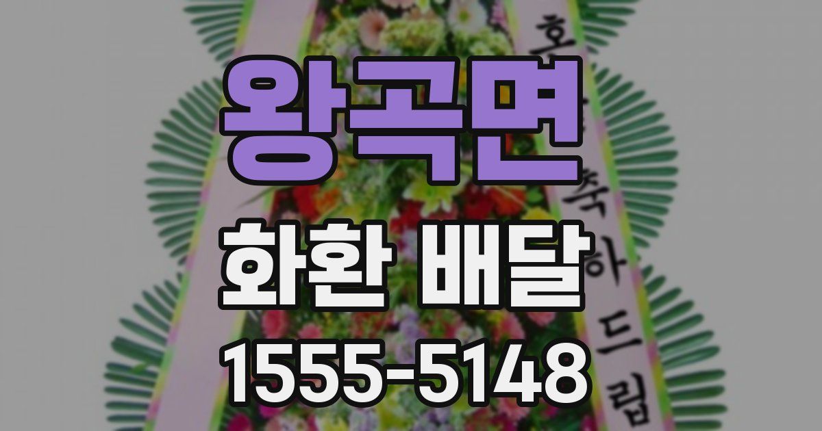왕곡면 화환 배달