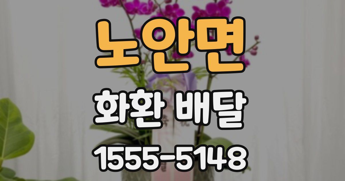 노안면 화환 배달