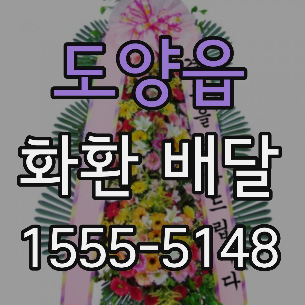 도양읍 화환 배달