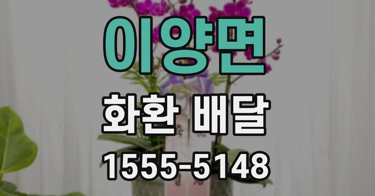 이양면 화환 배달