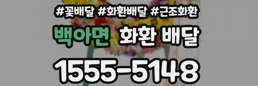 백아면 화환 배달