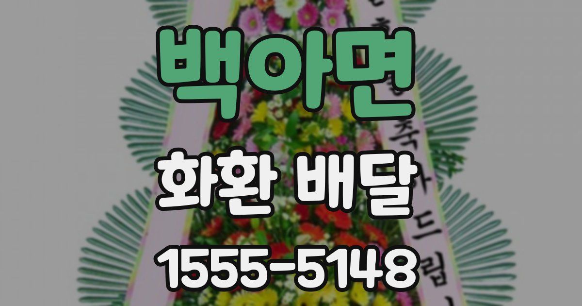 백아면 화환 배달