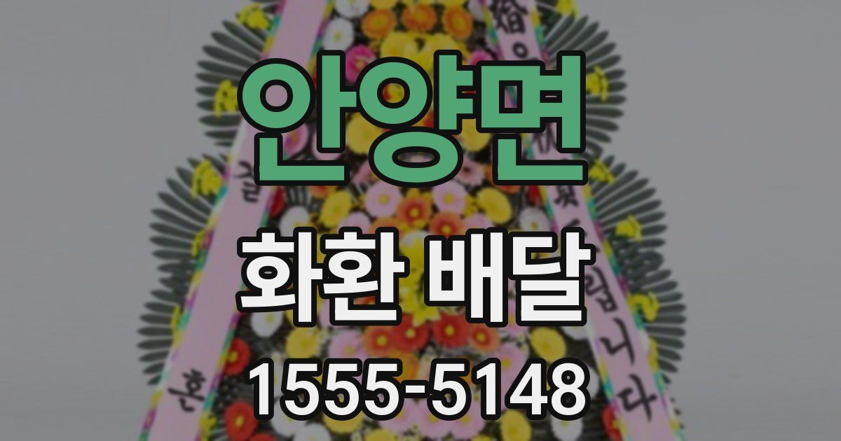안양면 화환 배달