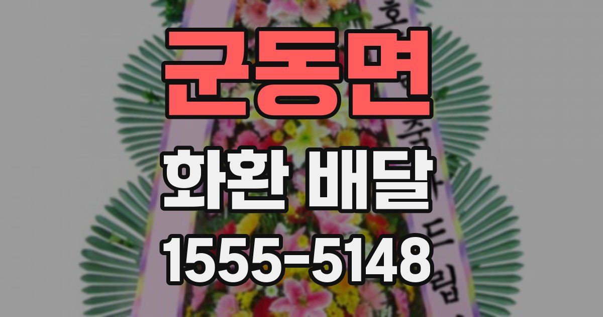 군동면 화환 배달