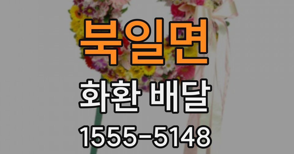 북일면 화환 배달