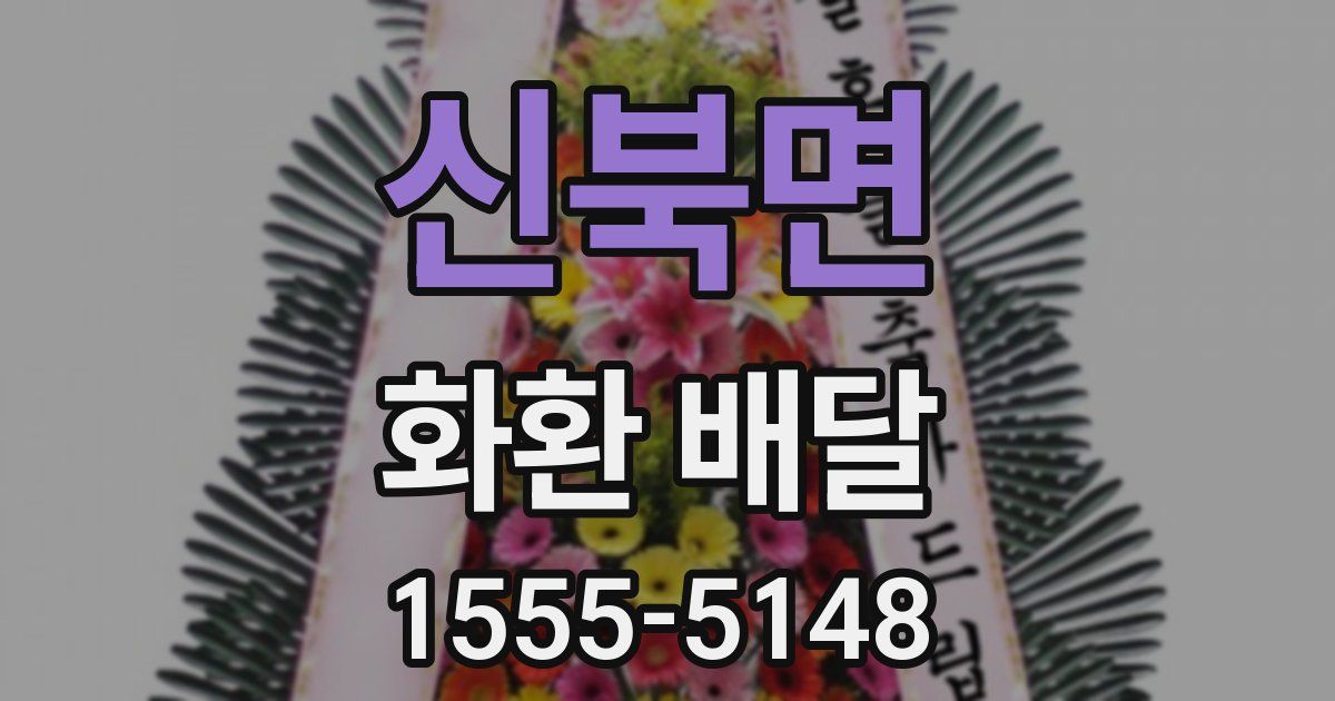 신북면 화환 배달