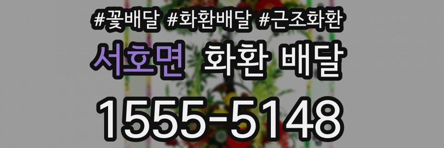서호면 화환 배달