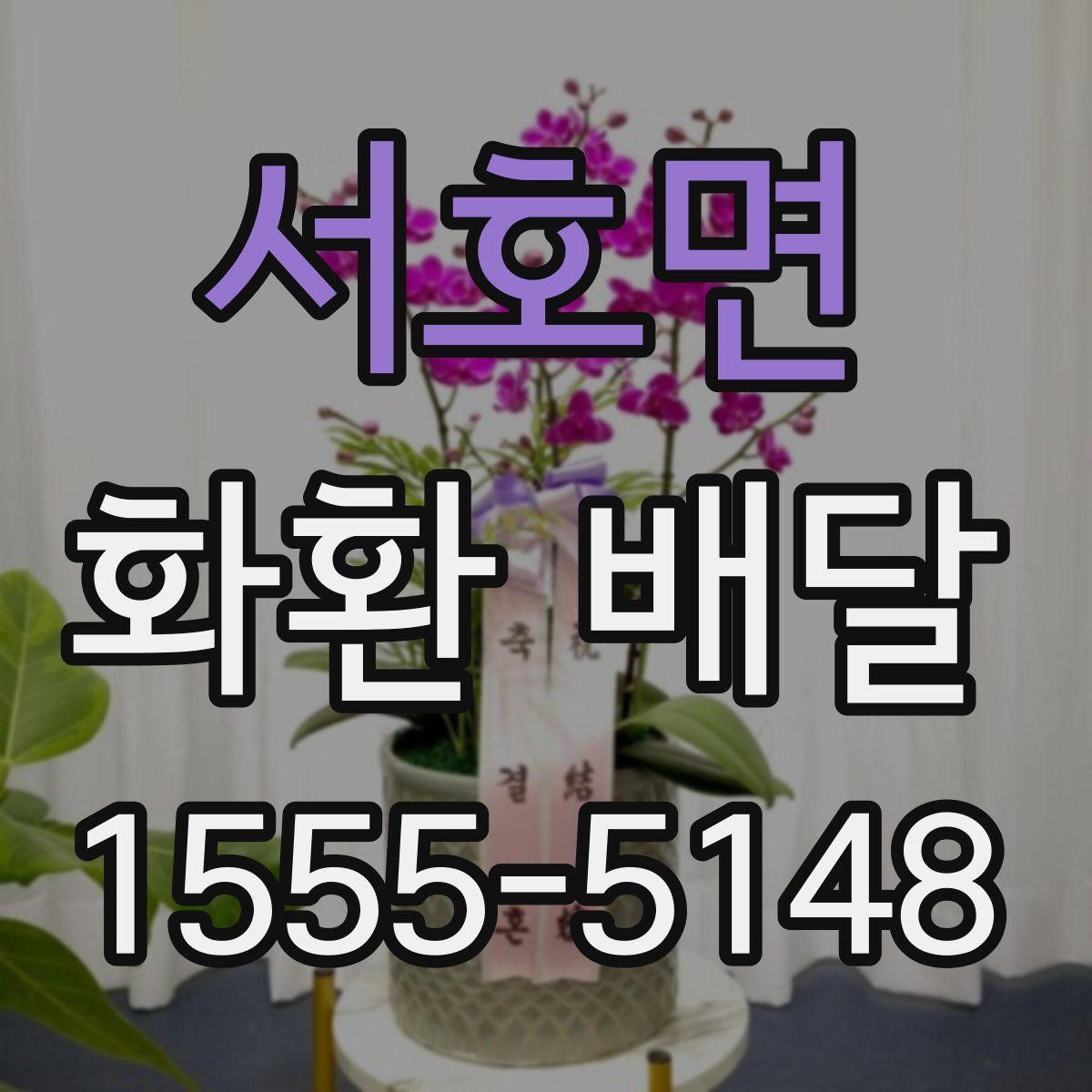 서호면 화환 배달