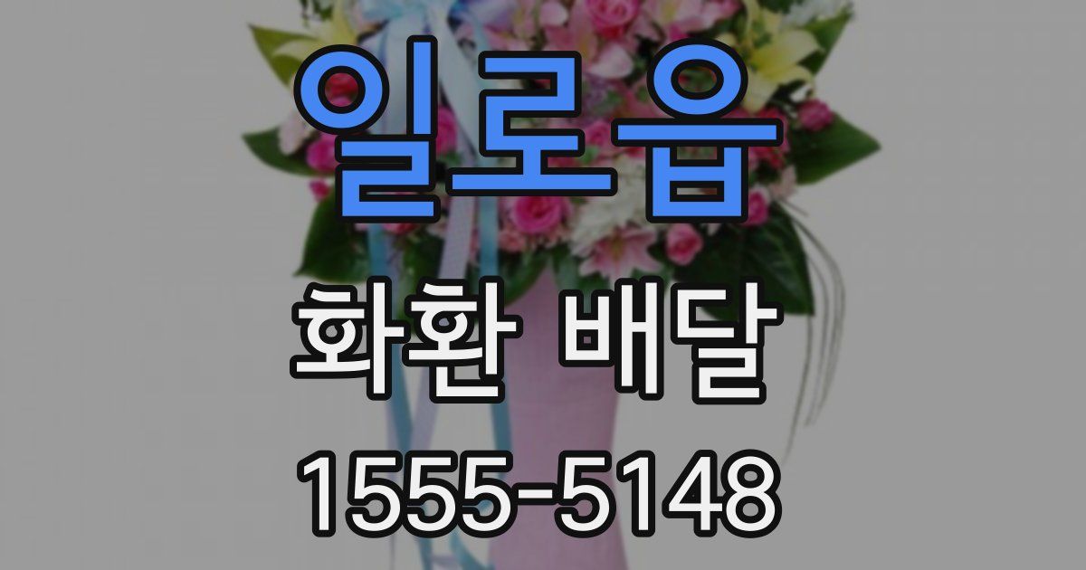일로읍 화환 배달