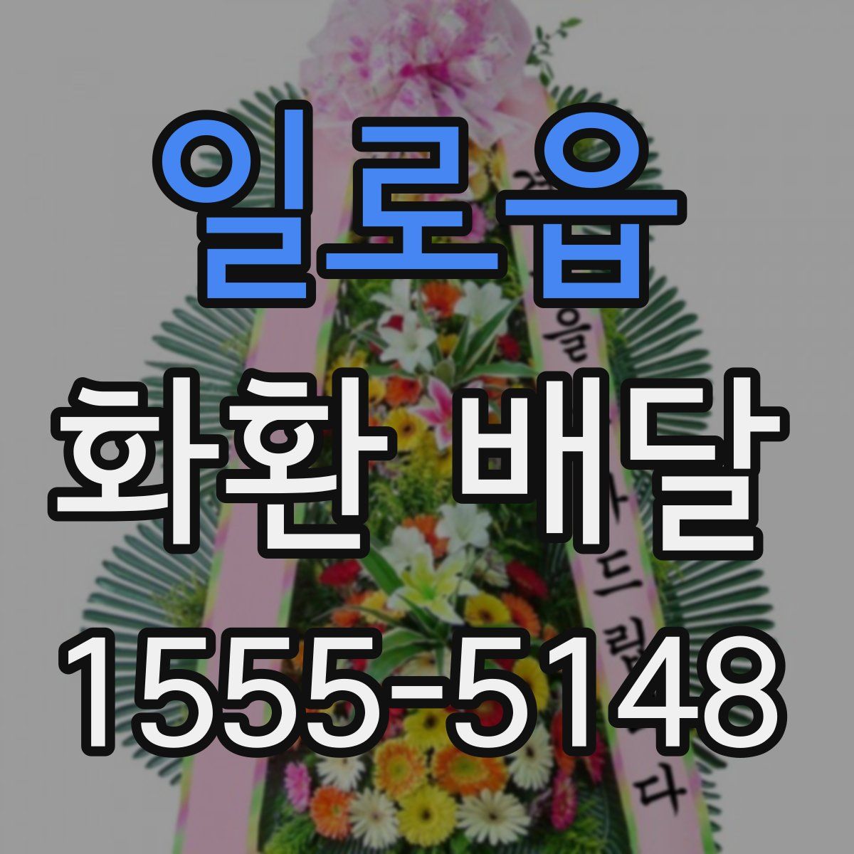 일로읍 화환 배달