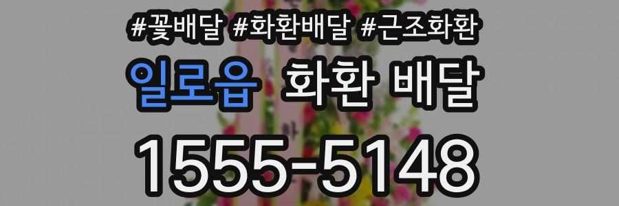 일로읍 화환 배달