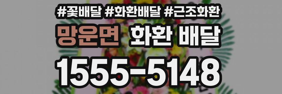 망운면 화환 배달