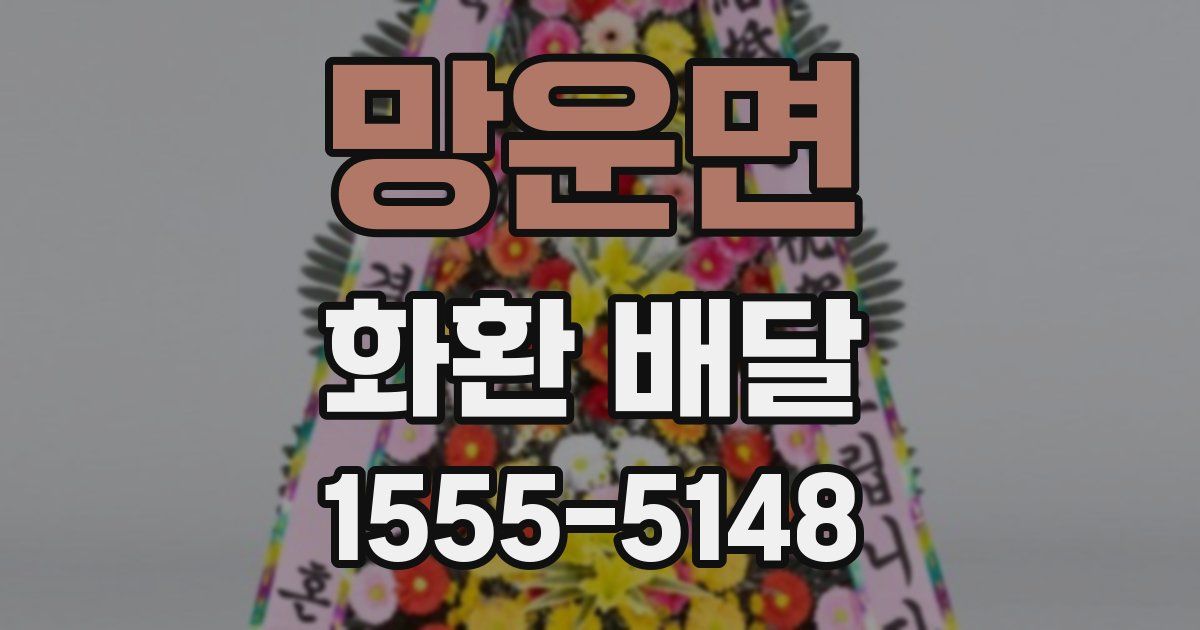 망운면 화환 배달