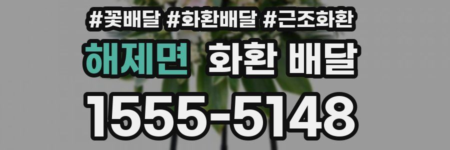 해제면 화환 배달