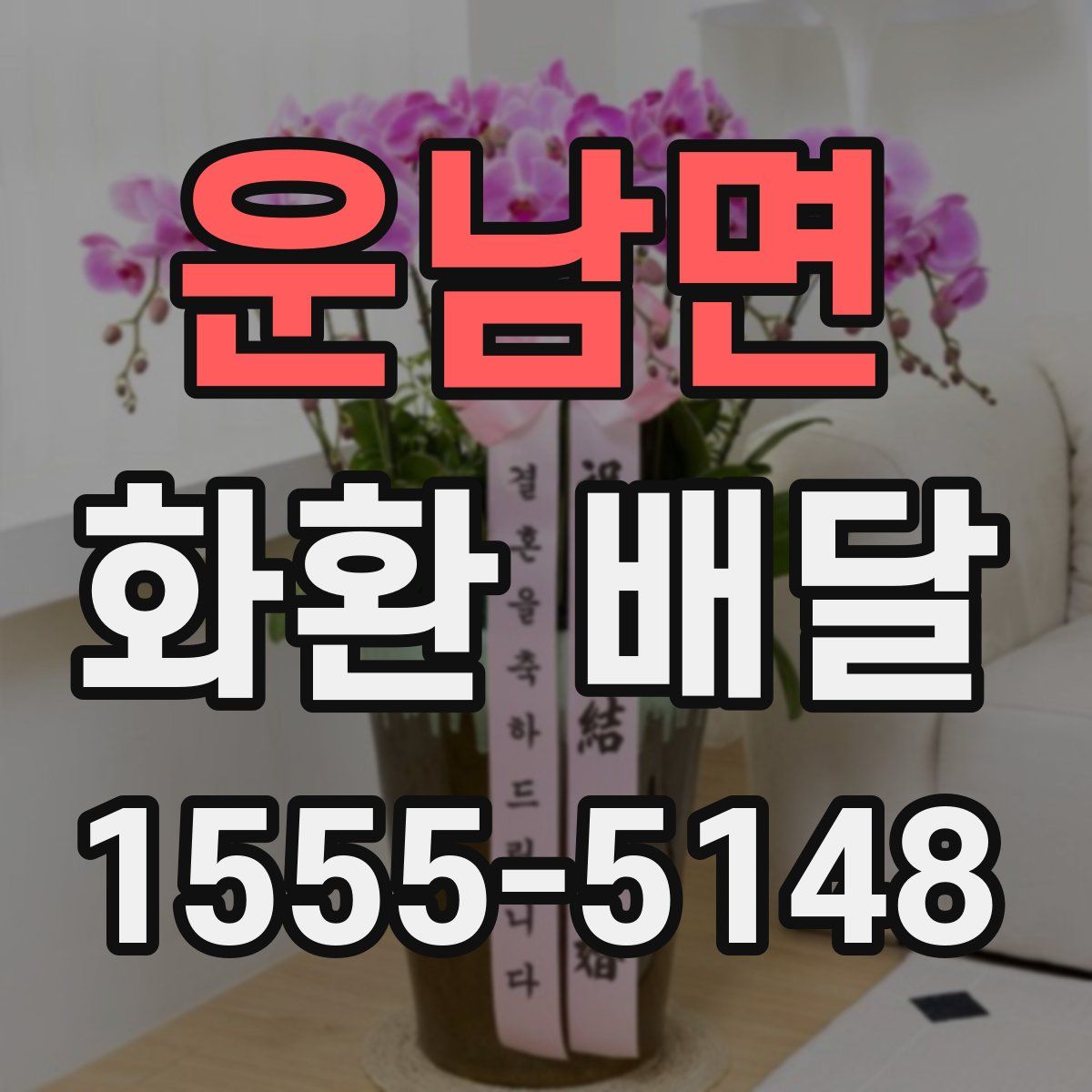 운남면 화환 배달