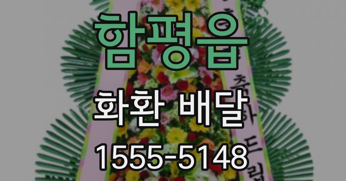 함평읍 화환 배달