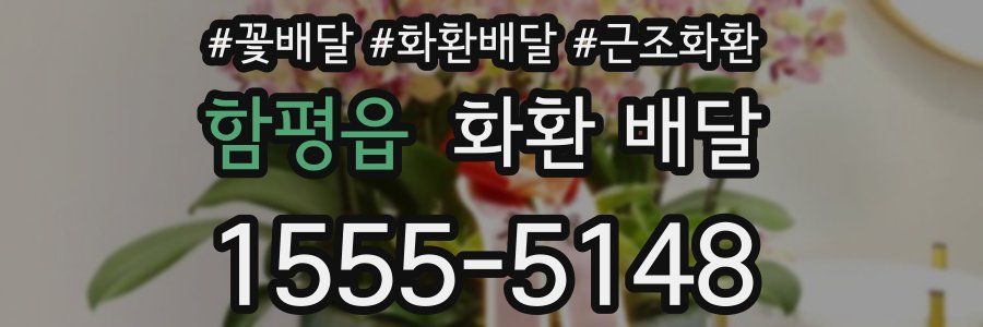 함평읍 화환 배달