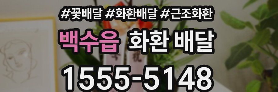 백수읍 화환 배달