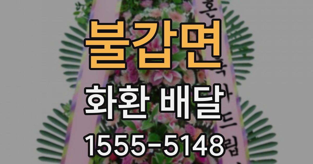 불갑면 화환 배달