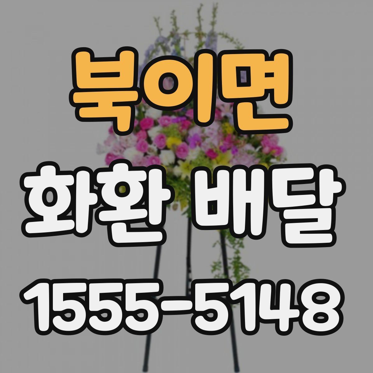 북이면 화환 배달 가능한 구역과 거리 기준 정리